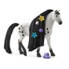 SC Beauty Horse Knabstrupper Stallion (7744108495047)