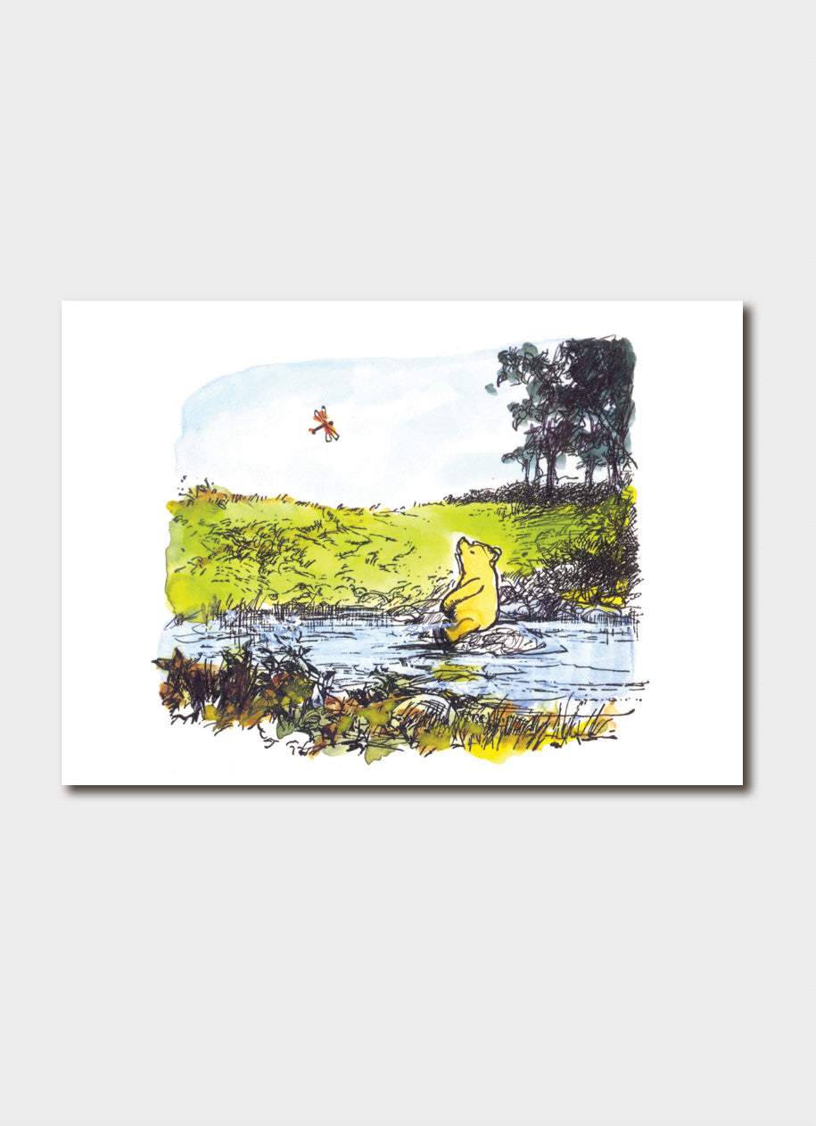 Pooh & Dragonfly