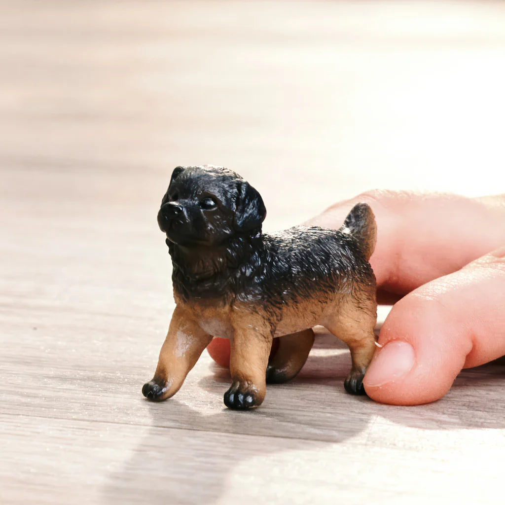SC German Shepherd Puppy (Green Dot)