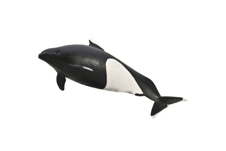 CO Dall's Porpoise (M)