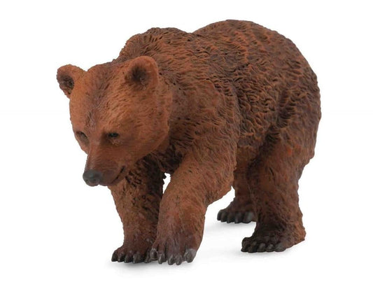 CO Brown Bear Cub (S) (7718417531079)