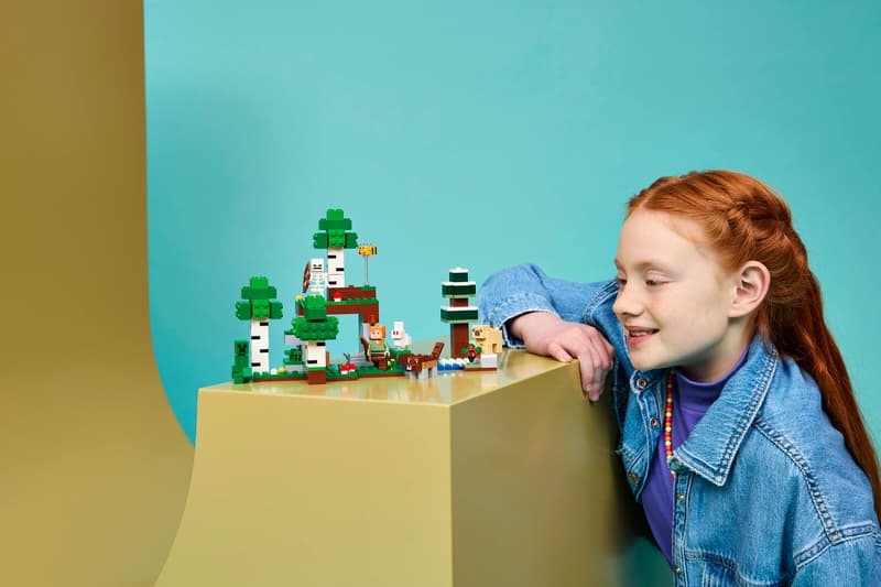 Lego MC First Night Adventure 21593