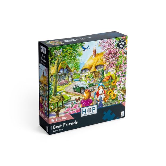 HP Best Friends Big 500pc