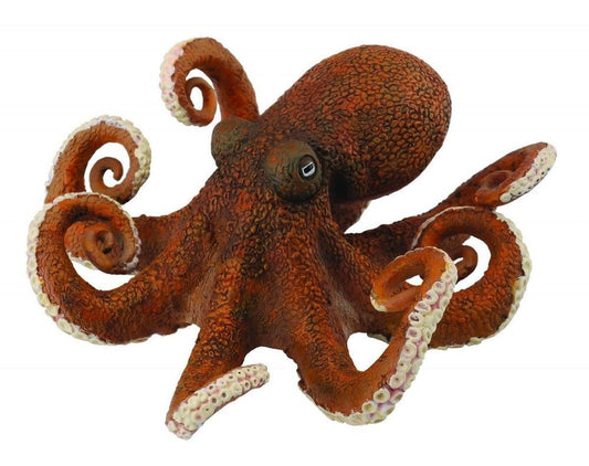 CO Octopus (XL) (7615131418823)