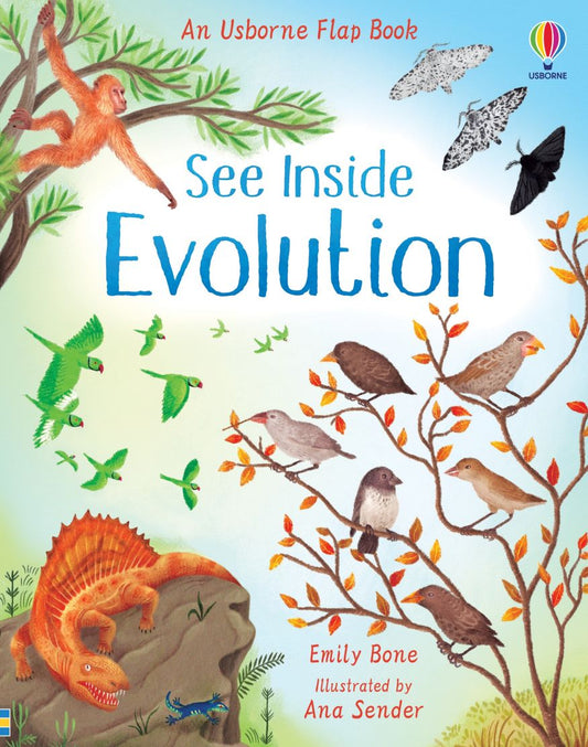 See Inside Evolution (7798795337927)