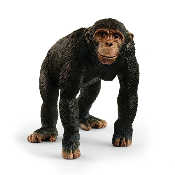 SC Chimpanzee 2025 (Yellow Dot) (8436839547079)