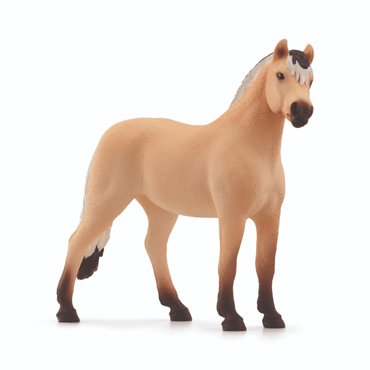 SC Norwegian Fjord Horse Gelding (Grey Dot) (8222397792455)