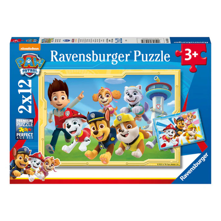 RB Paw Patrol Super Detectives 2x12pc