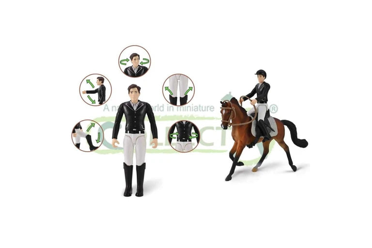 CO Rider Wide Brim Helmet