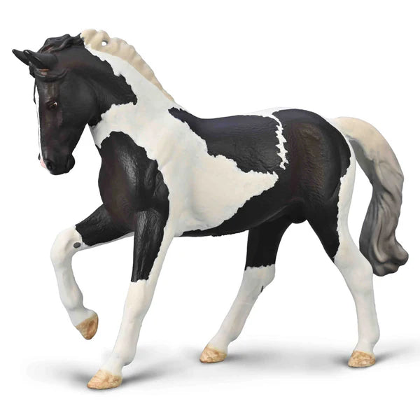 CO Warmblood Stallion - Black Tobiano (XL)