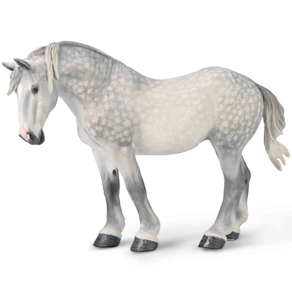 CO Percheron Mare - Dappled Grey (XL)
