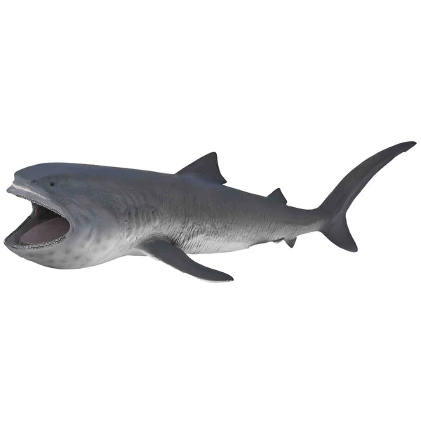 CO Megamouth Shark (XL)