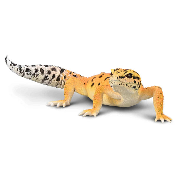 CO Leopard Gecko (L)