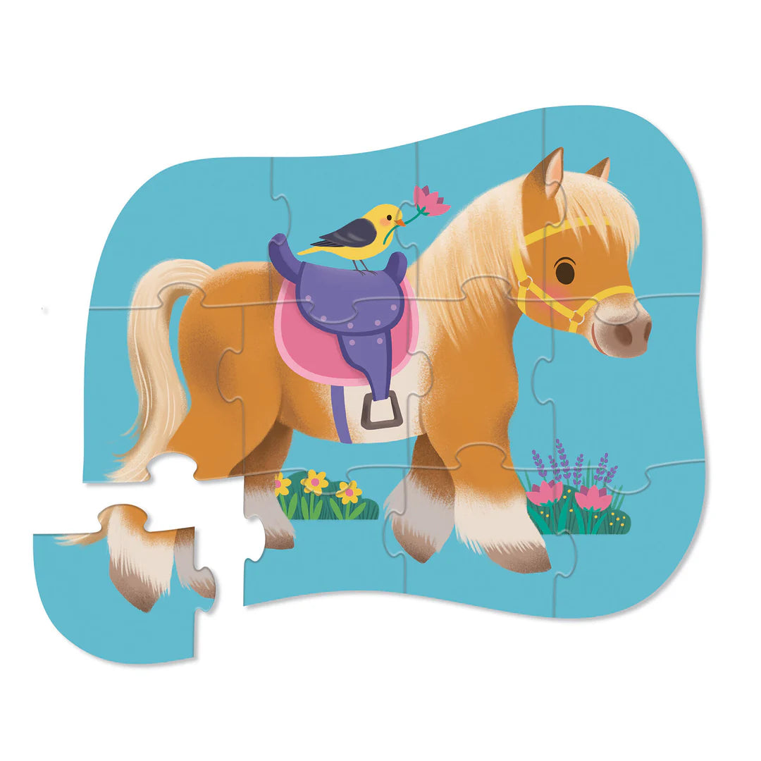 CC Mini Pony 12pc