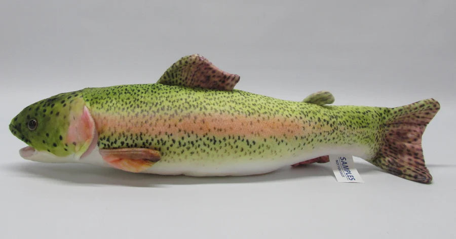 Rainbow Trout