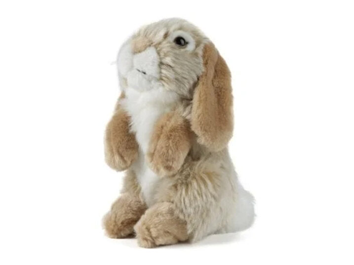 Nibbles Rabbit Honey