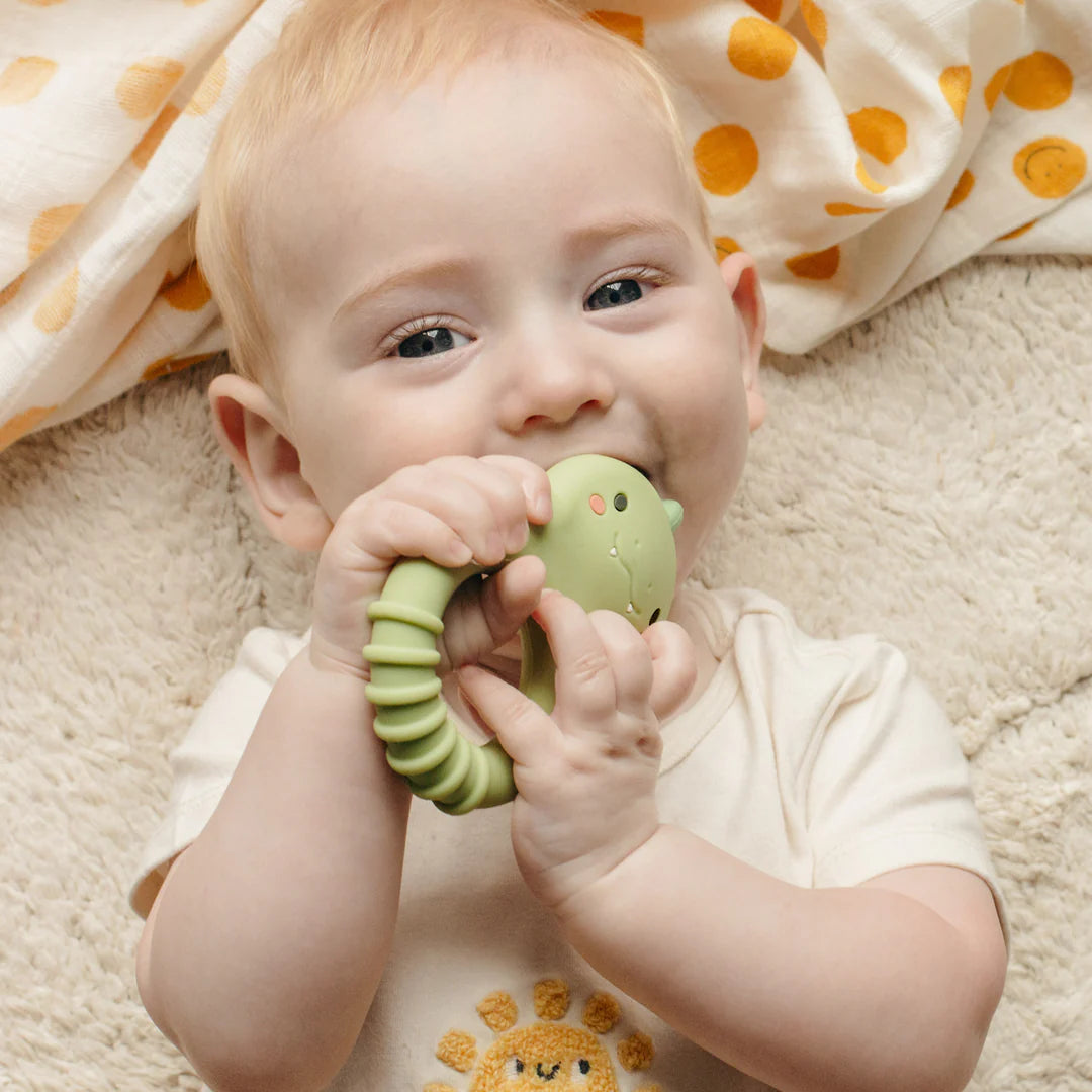 TT Silicone Teether Dino (8417440694471)