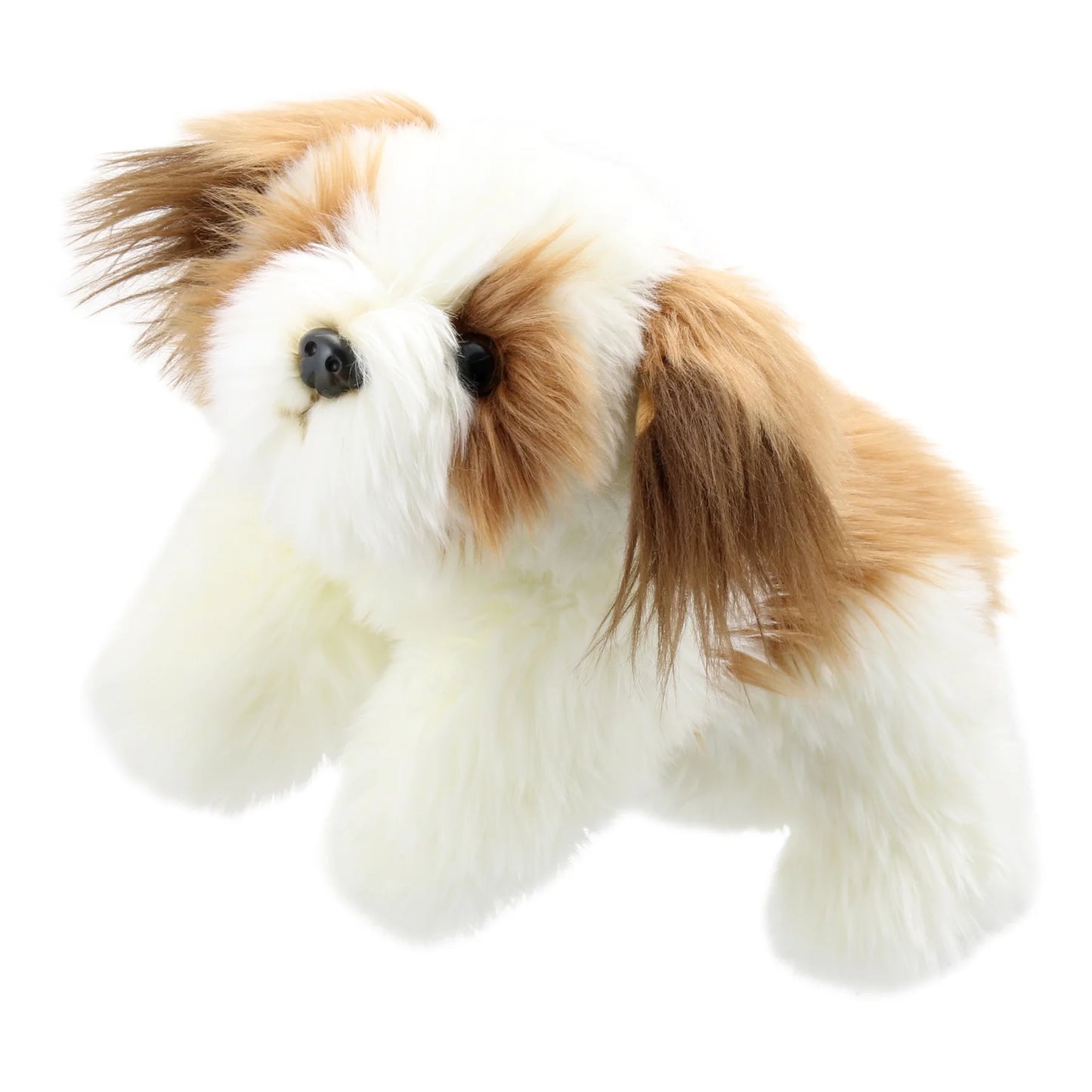 PC Dog - Brown & White
