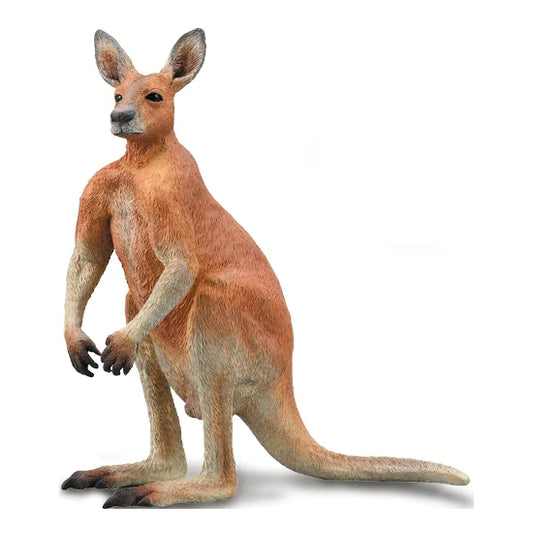 CO Red Kangaroo (L) (7718943654087)