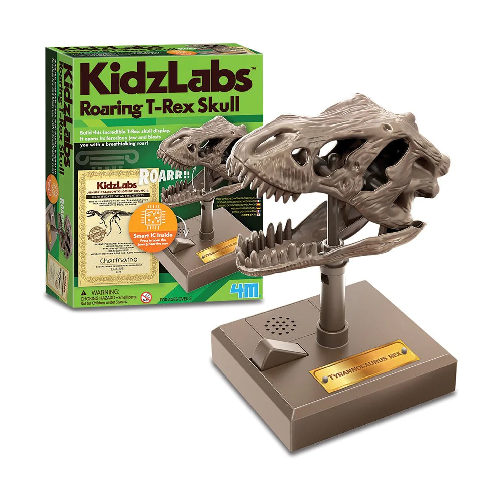 Dino Skull (7728435364039)