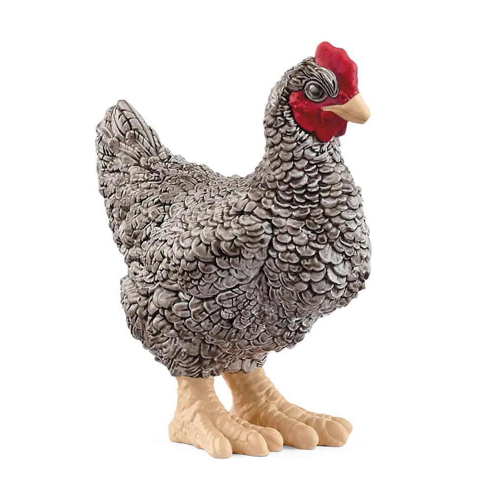 SC Plymouth Rock Chicken (Green Dot) (8344749801671)