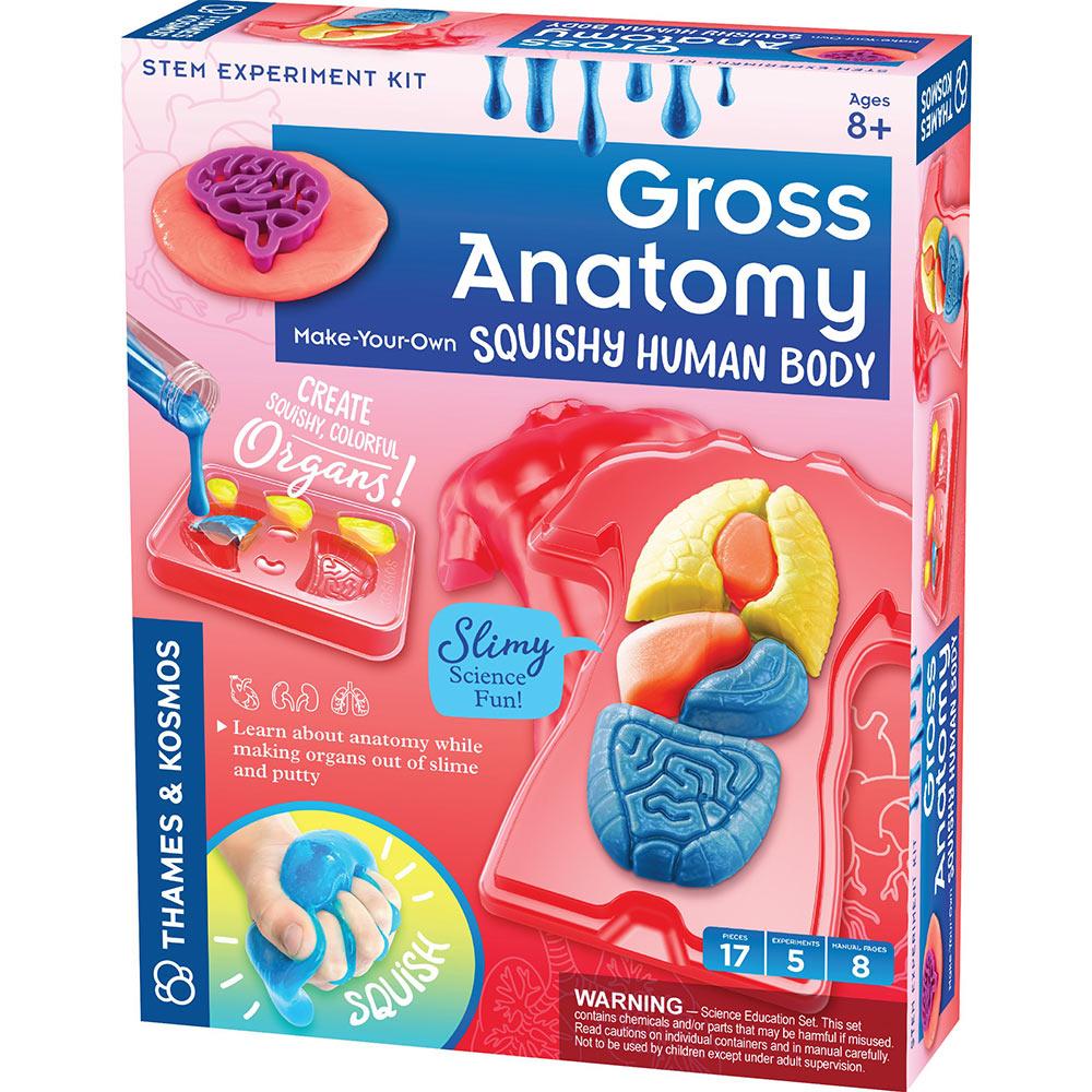Gross Anatomy (7810962292935)