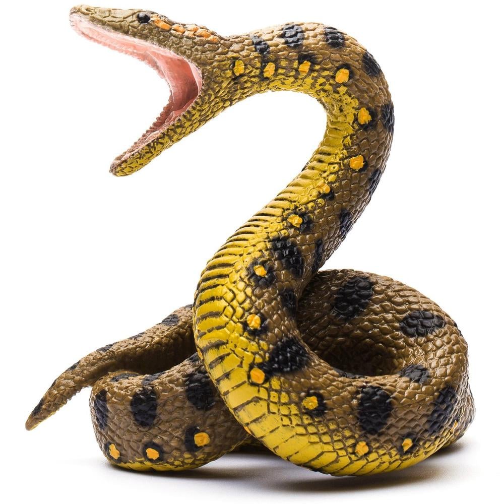 CO Green Anaconda (L) (7718943293639)
