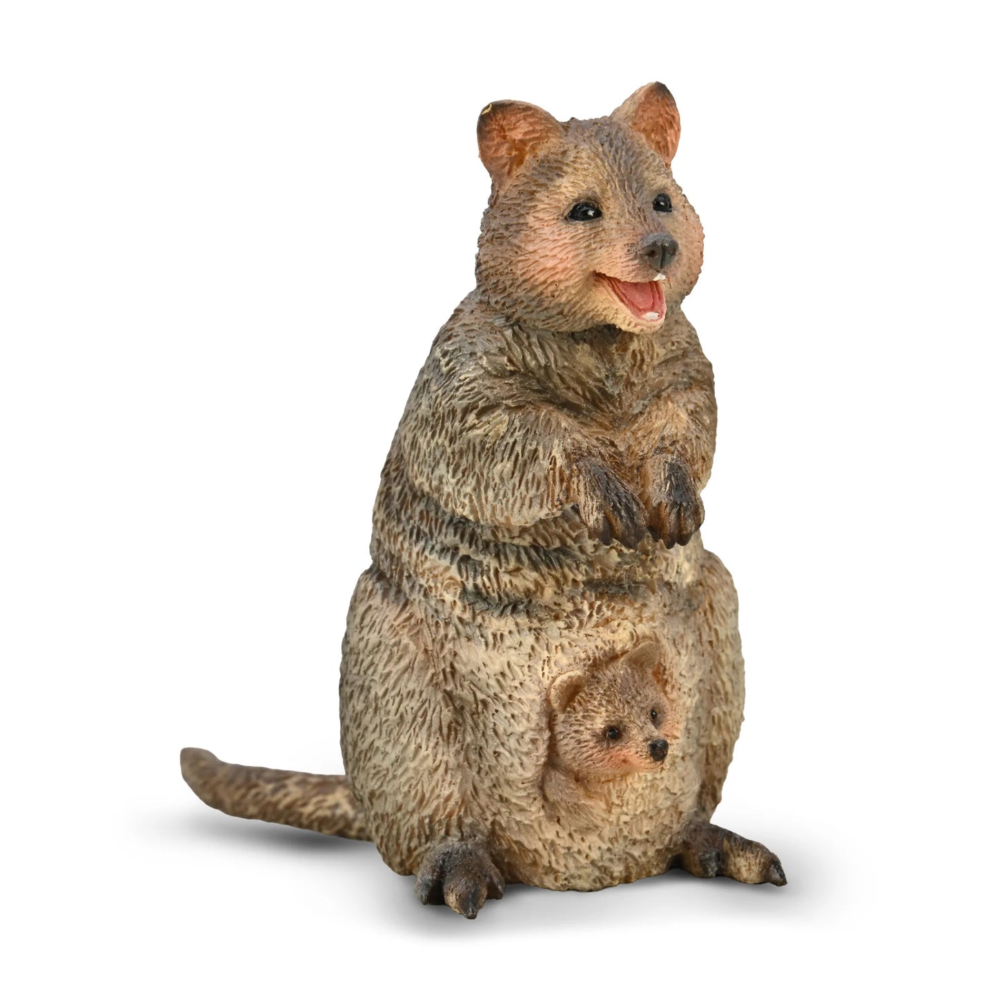 CO Quokka with Joey (M)