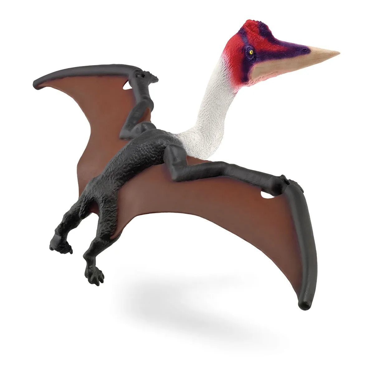 SC Quetzalcoatlus (7753612427463)