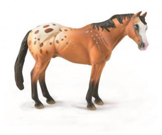 CO Light Brown Appaloosa Stallion (XL) (7870908596423)