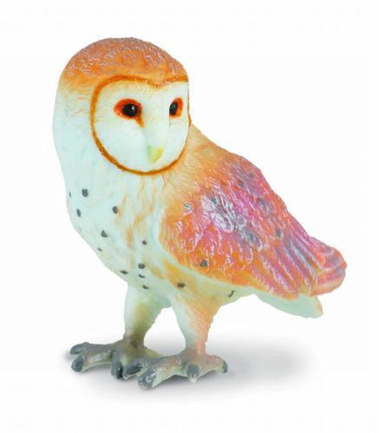 CO Barn Owl (S) (4633349226531)