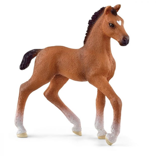 SC Oldenburger Foal (7324347793607)