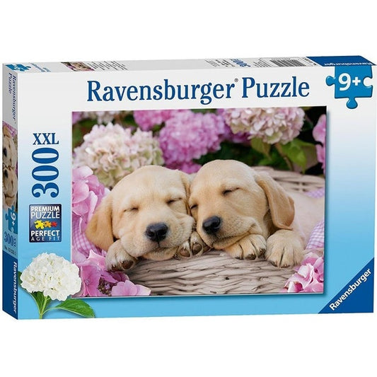 RB Sweet Dogs in a Basket 300pc (7320414191815)