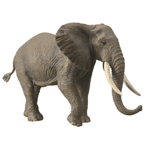 CO African Elephant (XL) – Crackerjack Toys