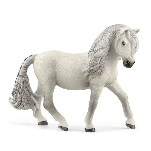 SC Iceland Pony Mare (7356404957383)