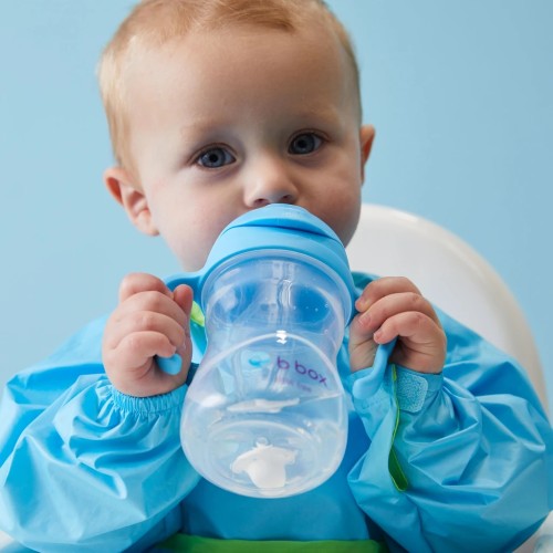 B.Box Sippy Cup V2 Blueberry (7598097957063)