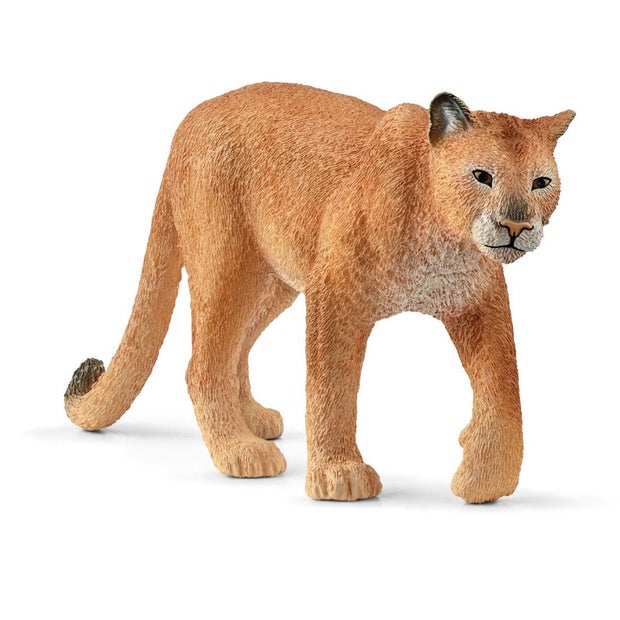 SC Cougar (7324111798471)