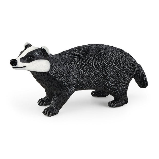 SC Badger (6705037181127)