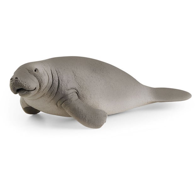 SC Manatee (7269894095047)