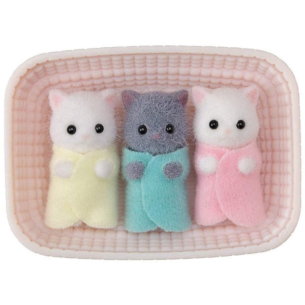SF Persian Cat Triplets (6044066316487)