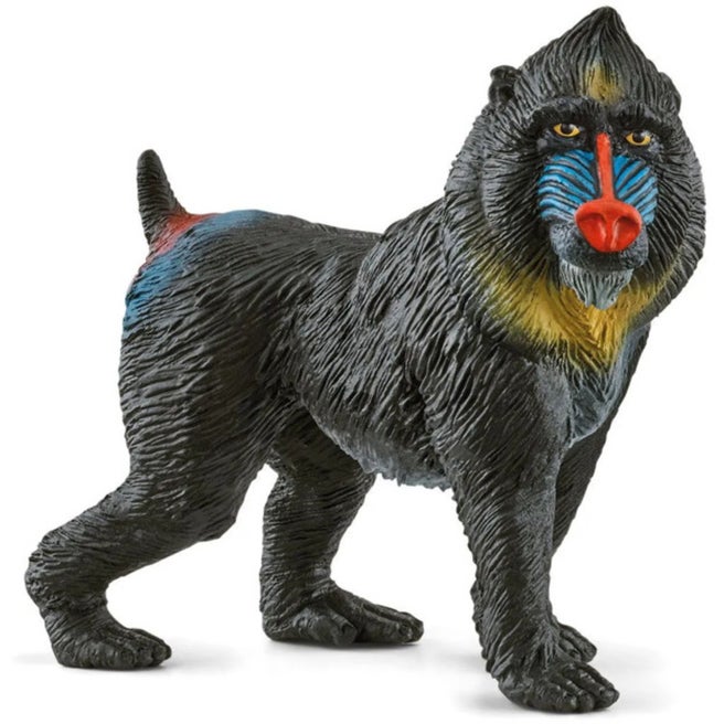 SC Mandrill (7437487866055)