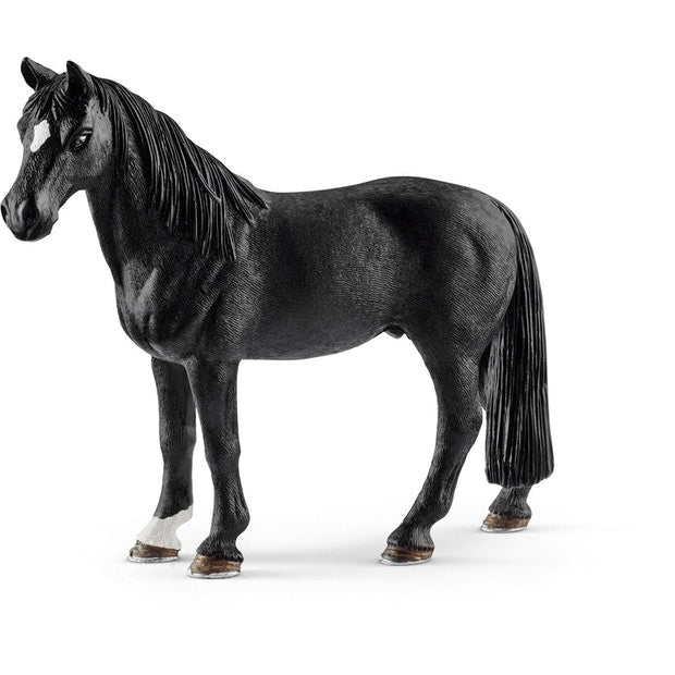 SC Tennessee Walker Gelding (4561284988963)