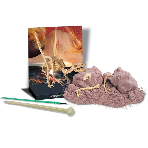 Velociraptor Excavation Kit (6898593169607)