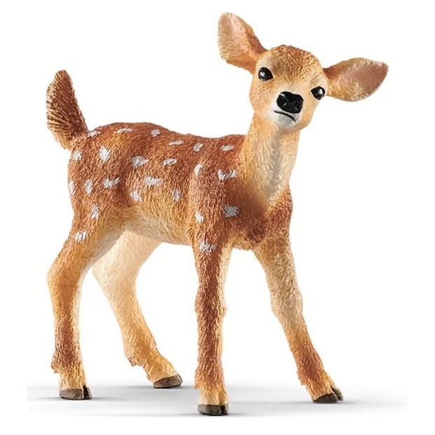 SC White Tailed Fawn 19 (4605564125219)