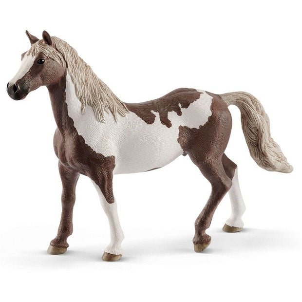SC Paint Horse Gelding (4561287446563)