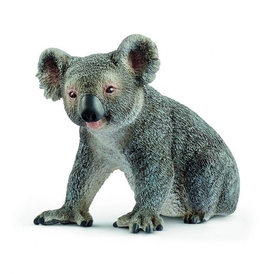 SC Koala Bear (4588702859299)