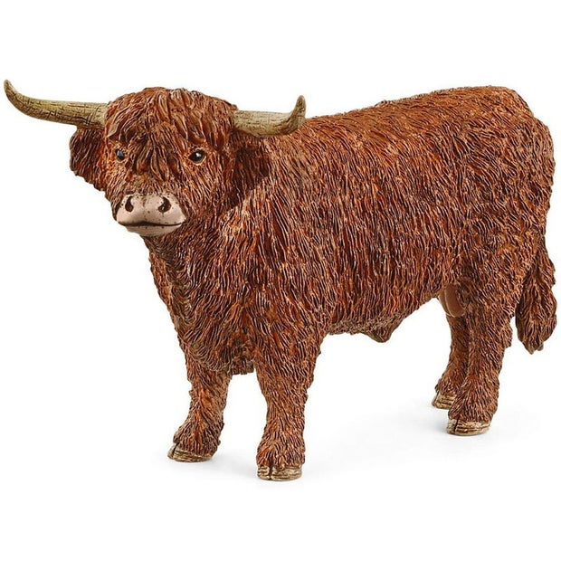 Sc Highland Bull (6904232050887)