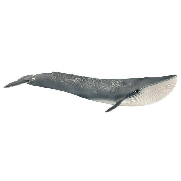 SC Blue Whale (4588702433315)