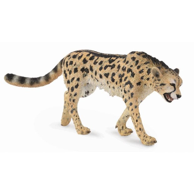 CO King Cheetah (L) (4590447132707)