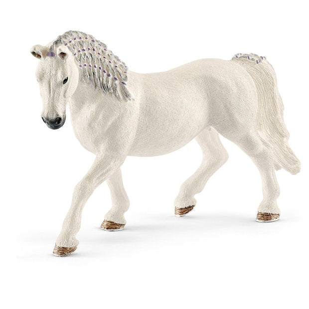SC Lipizzaner Mare (4561284366371)